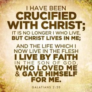 Meet your Posher, Tony